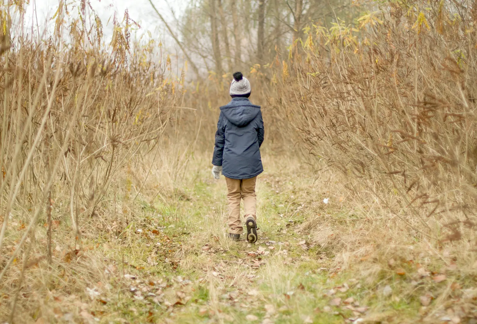 Boy walking through the countryside
